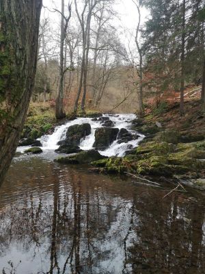 Selkefall